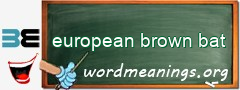 WordMeaning blackboard for european brown bat